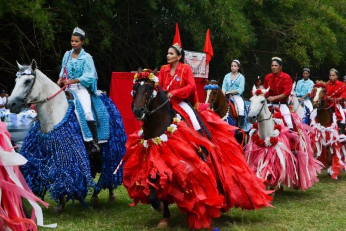 WhatsApp Image 2026-03-13 at 12.51.46