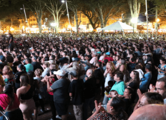 ALMG debate limite para gastos públicos com shows e rodeios