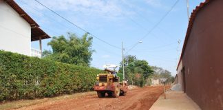 Confira os registros da semana