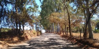 Asfaltamento em Serra Azul é concluído