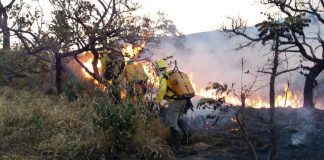 Juatuba registra 30 incêndios nos últimos quatro meses