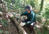 Mineração Usiminas realiza trabalho para conservação de espécies da fauna nativa