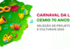 Cemig publica edital para seleção de projetos do “Carnaval da Liberdade”