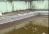 Piscina abandonada em Francelinos aumenta risco de novos casos de dengue