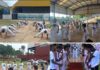 Grupo de capoeira organiza evento de conscientização e repúdio após prisão de professor acusado de abuso infantil
