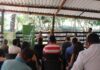 Mineração Usiminas recebe comunidade de Ponta da Serra no Viveiro de Mudas