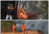 Juatuba registra em uma semana quase um terço dos focos de incêndio do ano