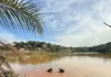 Homem morre afogado em lagoa