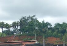 Acidente entre carro e ônibus deixa mulher ferida na BR-262, em Florestal