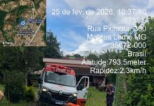 Incêndio, resgate de ambulância e quedas de árvores marcam a semana em Mateus Leme