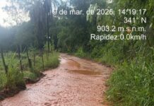 Temporal derruba de mais 20 árvores e alaga pontes em Mateus Leme