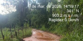 Temporal derruba de mais 20 árvores e alaga pontes em Mateus Leme