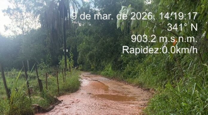 Temporal derruba de mais 20 árvores e alaga pontes em Mateus Leme