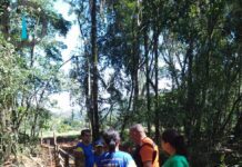 Com trégua das chuvas, Defesa Civil reduz atendimentos, mas mantém monitoramento