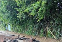 Chuvas em Juatuba: cidade decreta situação de emergência após estragos em bairros e na MG-050