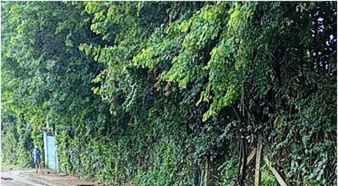 Chuvas em Juatuba: cidade decreta situação de emergência após estragos em bairros e na MG-050