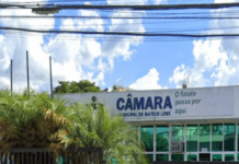 Projeto prevê destinação adequada de animais mortos em Mateus Leme