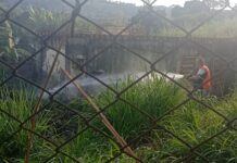 Incêndio ao lado de UBS, quedas de árvores e ponte interditada estão entre as principais ocorrências em Mateus Leme