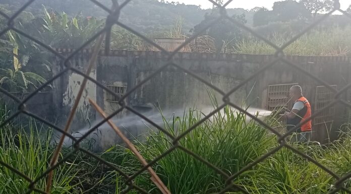 Incêndio ao lado de UBS, quedas de árvores e ponte interditada estão entre as principais ocorrências em Mateus Leme