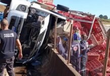 Motorista morre após caminhão carregado com galinhas tombar na BR-262, em Juatuba